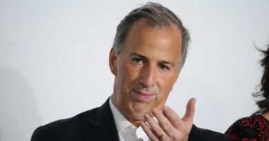 Grupo Gigante nombra a Meade Kuribreña y analiza adquisición de La Casa de Toño