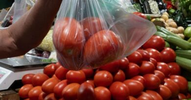 Ebrard cuestiona efectividad de cuota al tomate mexicano
