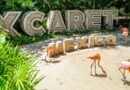 Grupo Xcaret reporta vulneración en sus sistemas de ventas