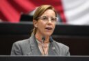 Diputada alerta sobre reforma a la Ley de Inversión Extranjera