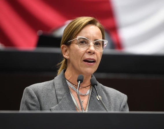 Diputada alerta sobre reforma a la Ley de Inversión Extranjera