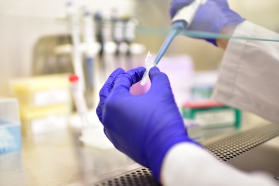 UACH anuncia doctorado en formación e innovación en salud